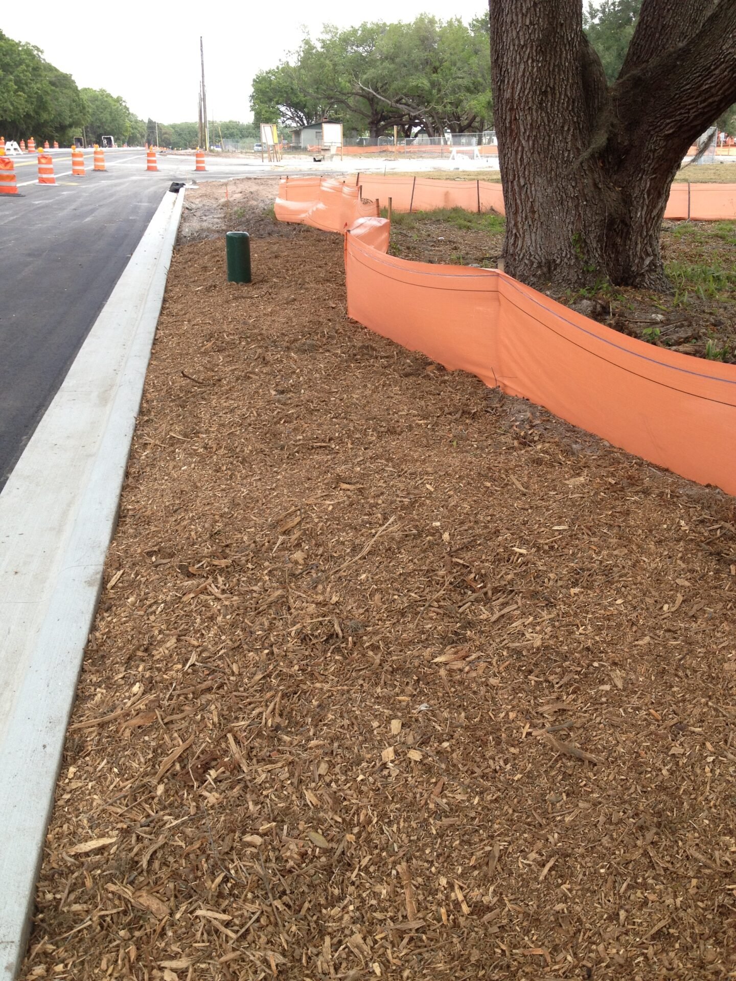 Road construction site with orange barriers, fresh mulch, and large trees. Asphalt road and construction cones visible, surrounded by greenery. No landmarks present.